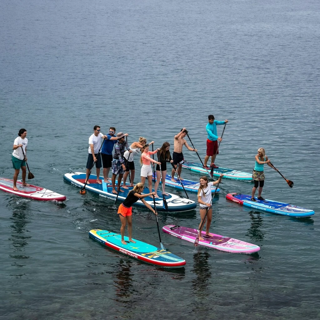 sup board sup board